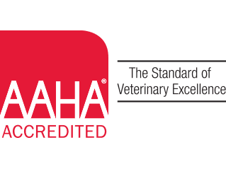 Veterinary Associations in Valparaiso: AAHA